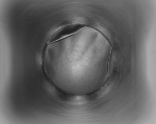 X0000103250060200809181613