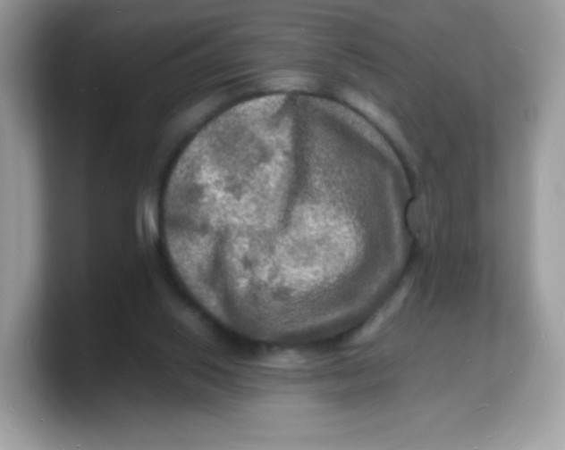 X0000103250062200809181613