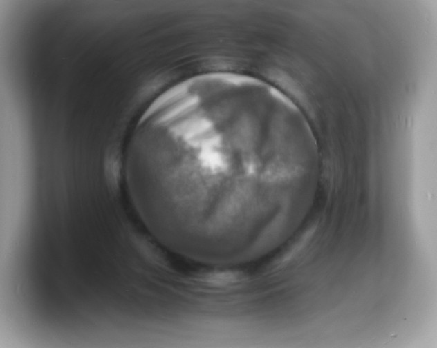 X0000103250063200809181613