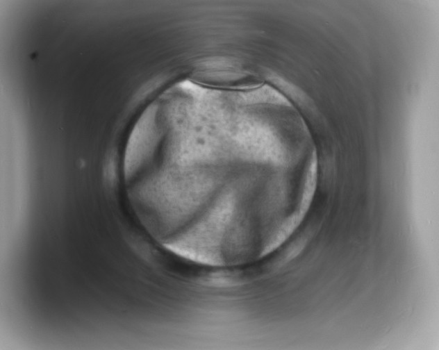 X0000103250064200809181613