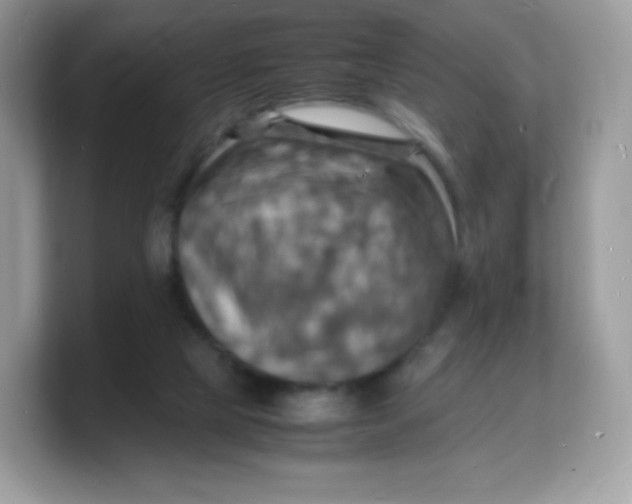 X0000103250065200809181613