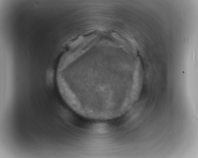 X0000103250066200809181613
