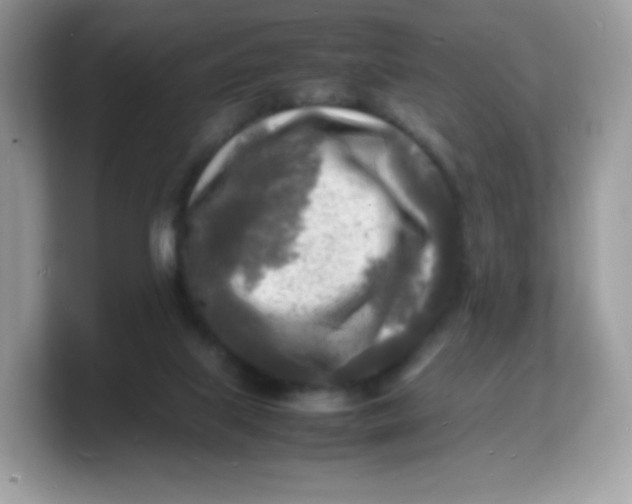 X0000103250067200809181613