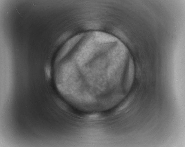 X0000103250068200809181613