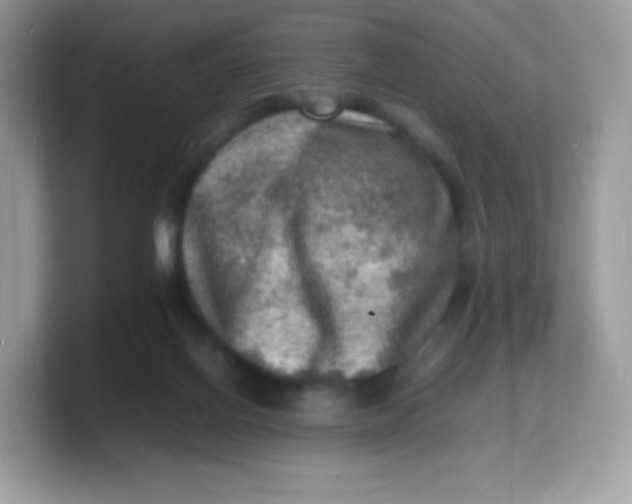 X0000103250070200809181613