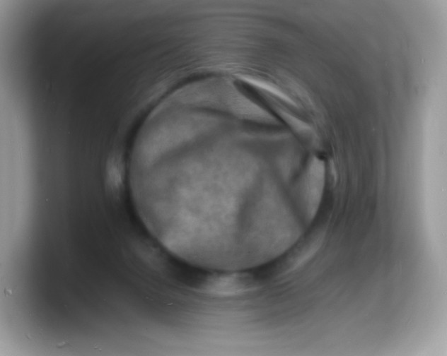 X0000103250072200809181613