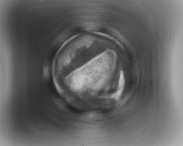 X0000103250074200809181613