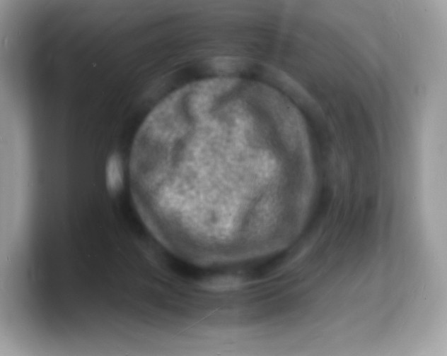 X0000103250075200809181613