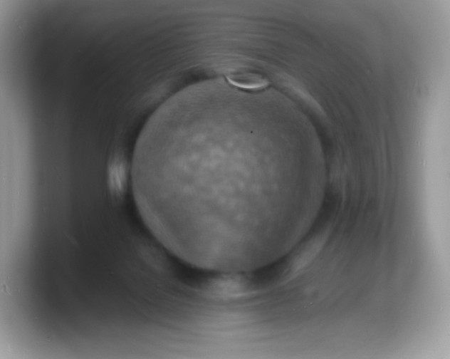 X0000103250076200809181613
