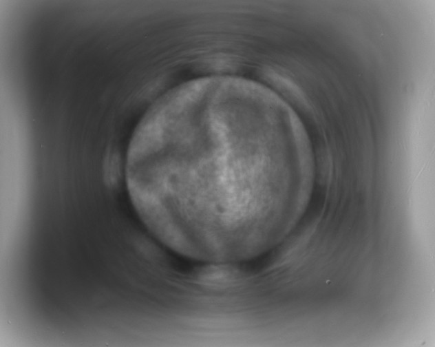 X0000103250077200809181613