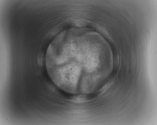 X0000103250078200809181613