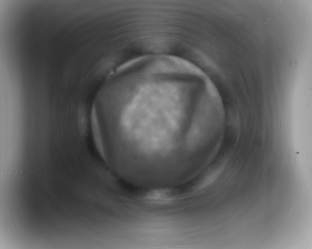 X0000103250080200809181613