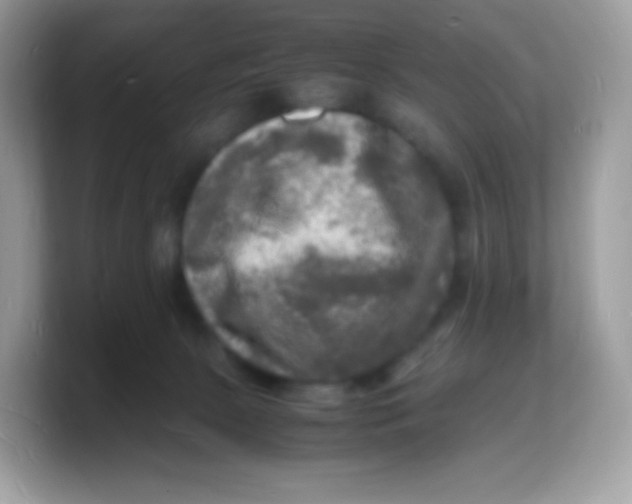 X0000103250081200809181613