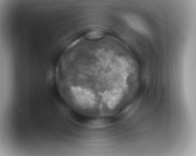 X0000103250082200809181613
