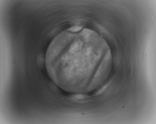 X0000103250085200809181613