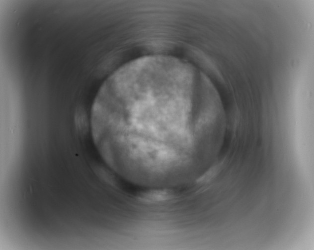 X0000103250086200809181613