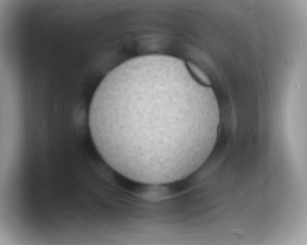 X0000103250087200809181613
