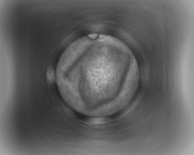 X0000103250089200809181613