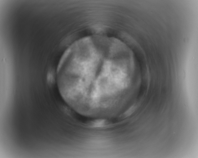 X0000103250090200809181613