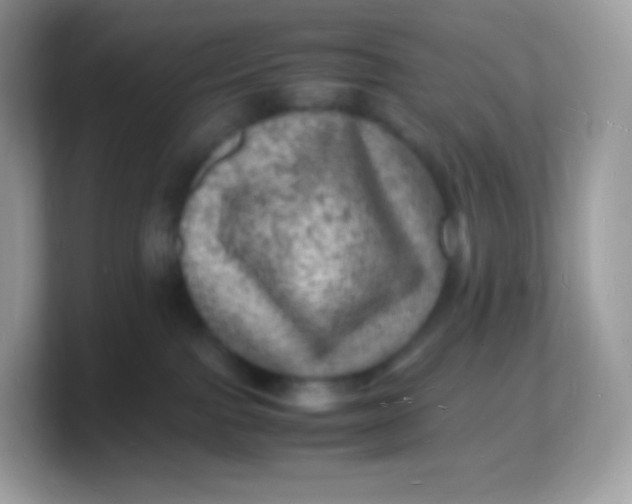 X0000103250091200809181613