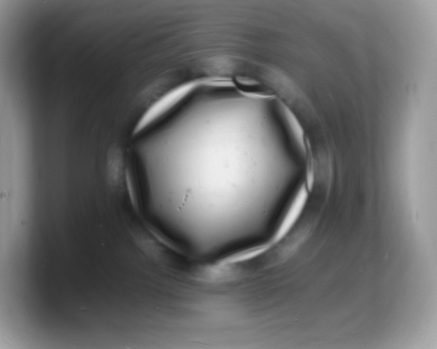 X0000103250092200809181613