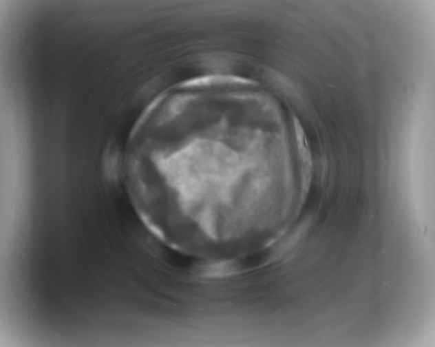 X0000103250093200809181613