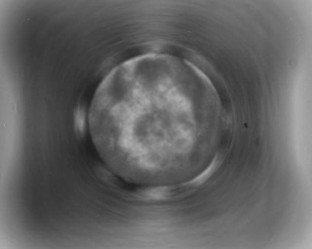 X0000103250094200809181613