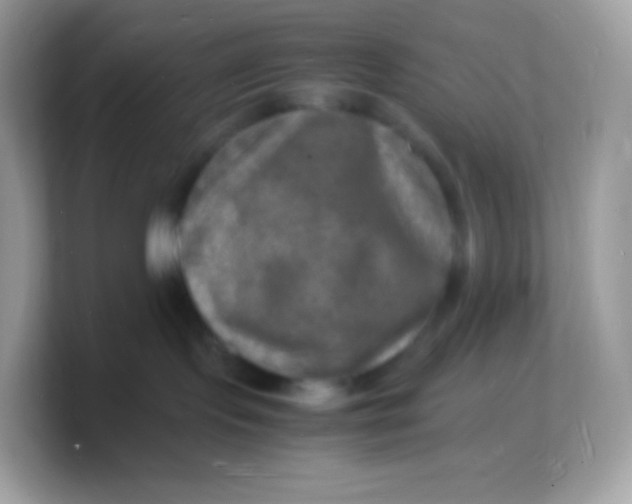 X0000103250095200809181613