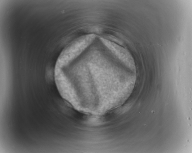 X0000103250096200809181613