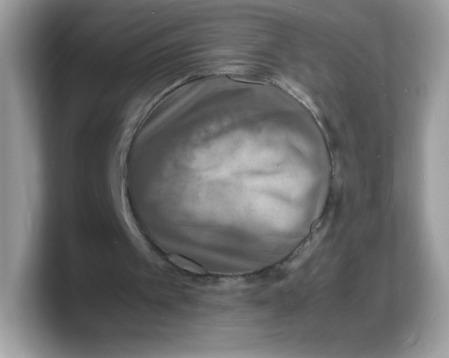 X0000103250097200809181613