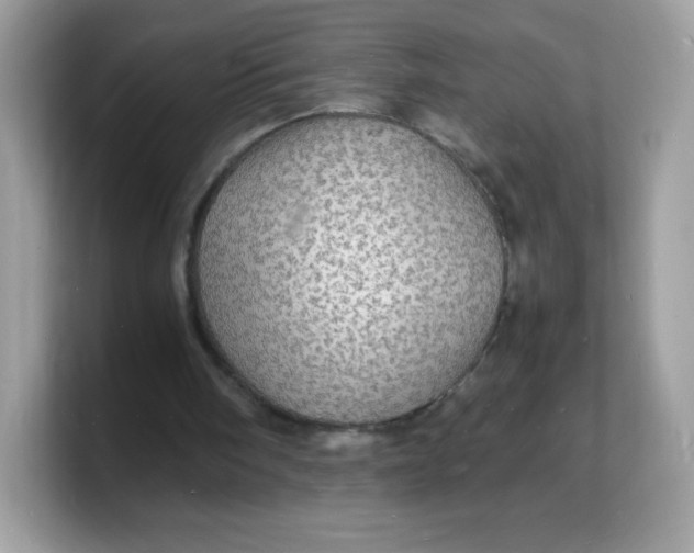 X0000103250098200809181613