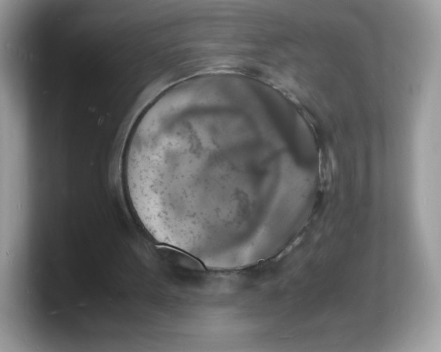 X0000103250099200809181613