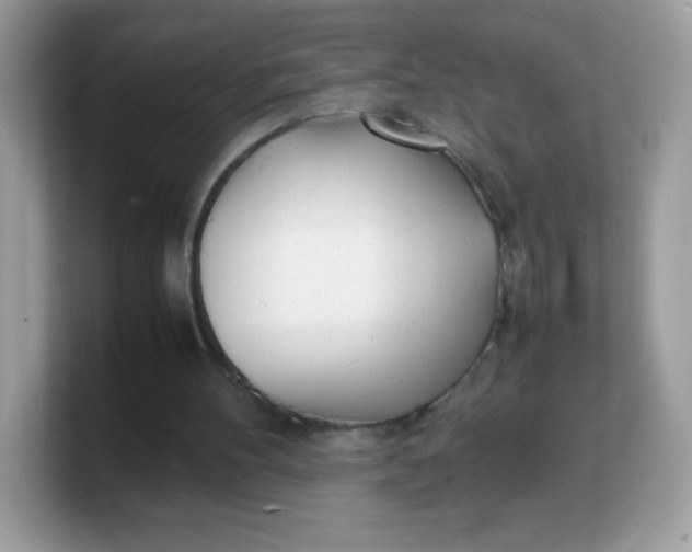 X0000103250100200809181613