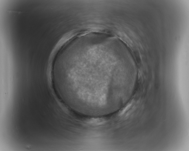 X0000103250101200809181613