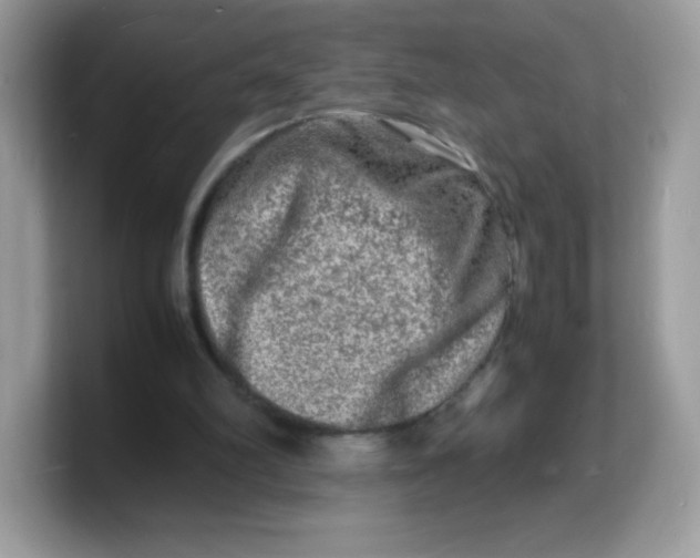 X0000103250102200809181613