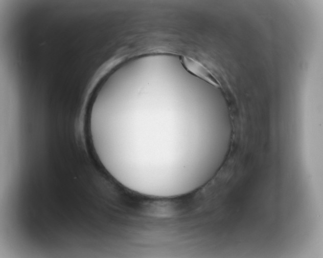 X0000103250104200809181613