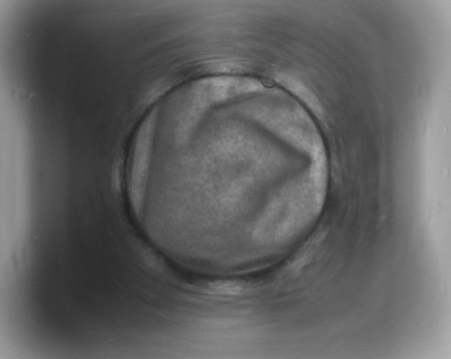 X0000103250105200809181613