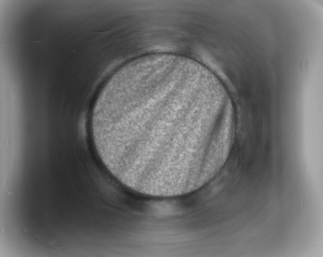 X0000103250106200809181613