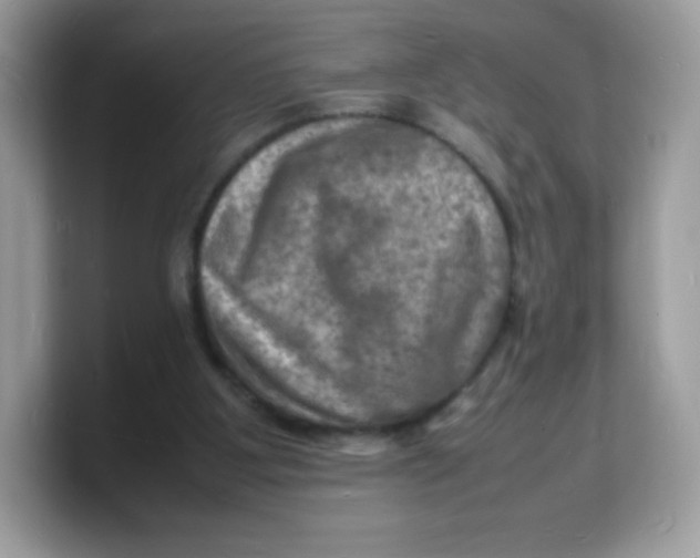 X0000103250107200809181613