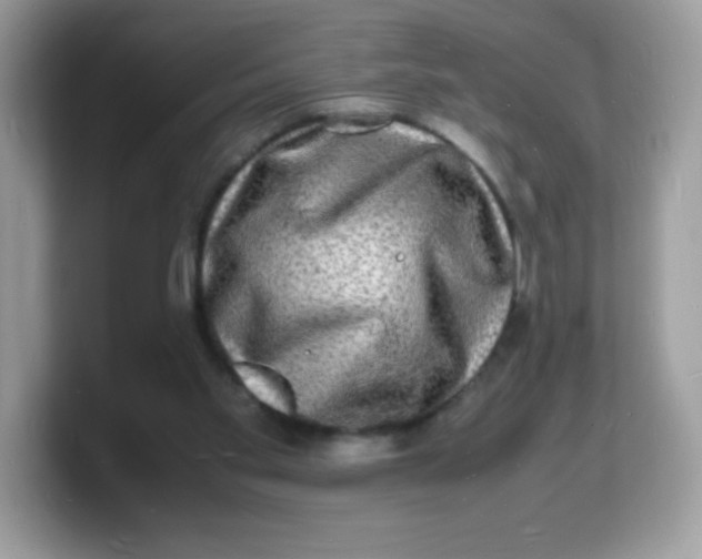 X0000103250109200809181613