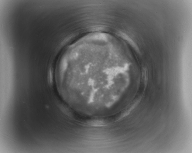 X0000103250110200809181613