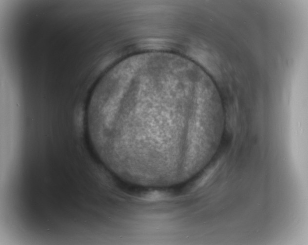 X0000103250111200809181613