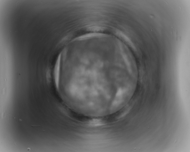 X0000103250114200809181613