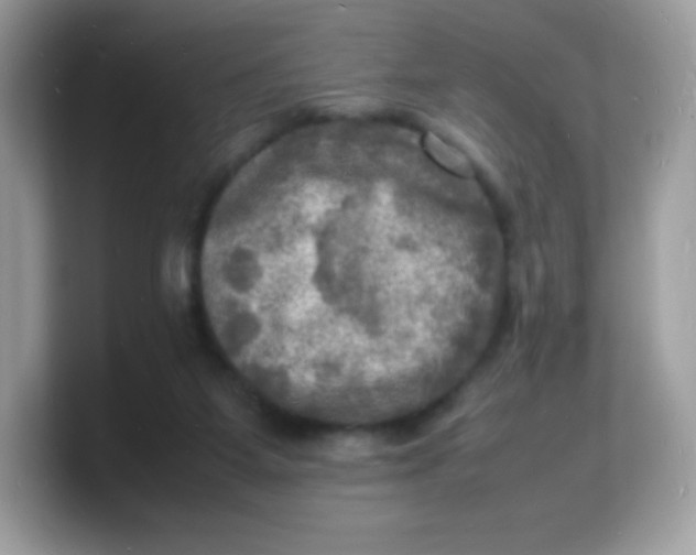 X0000103250115200809181613