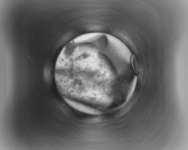 X0000103250116200809181613