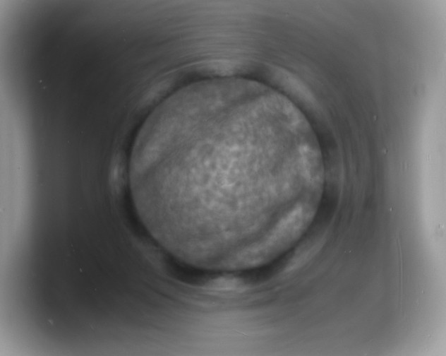 X0000103250119200809181613