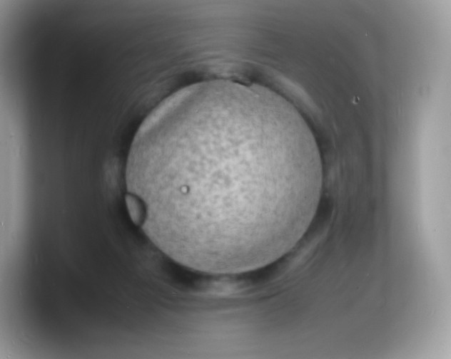 X0000103250121200809181612