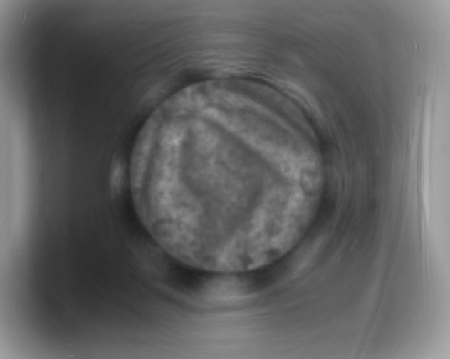 X0000103250123200809181612