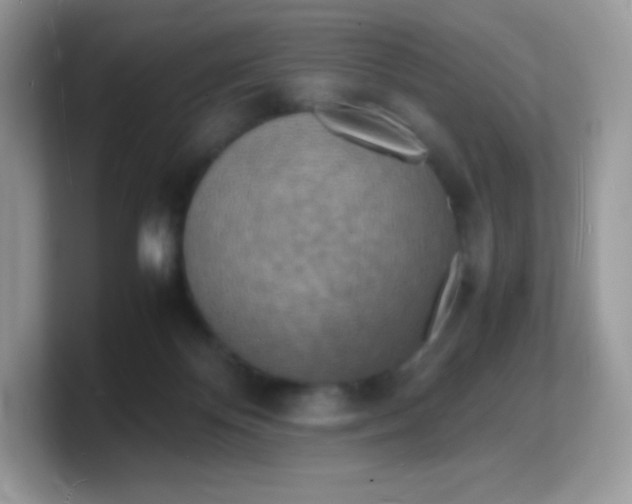 X0000103250124200809181612