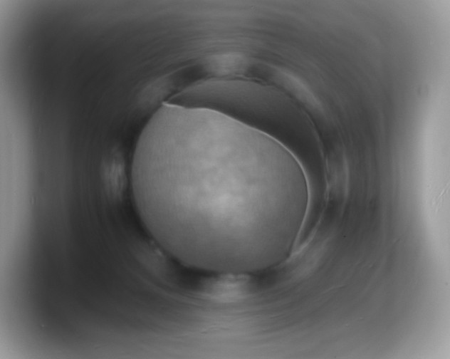X0000103250128200809181612